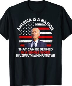 America Is A Nation That Can Be Defined In Single Word Biden T-Shirt