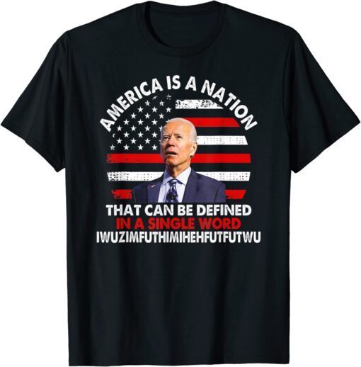 America Is A Nation That Can Be Defined In Single Word Biden T-Shirt