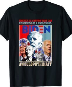 America Is A Nation That Can Be Defined In Single Word Biden Classic T-Shirt