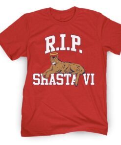 RIP SVI CHARITY SHIRT