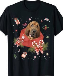 Bloodhound Dog In Christmas Card Ornament Pajama Xmas Shirt