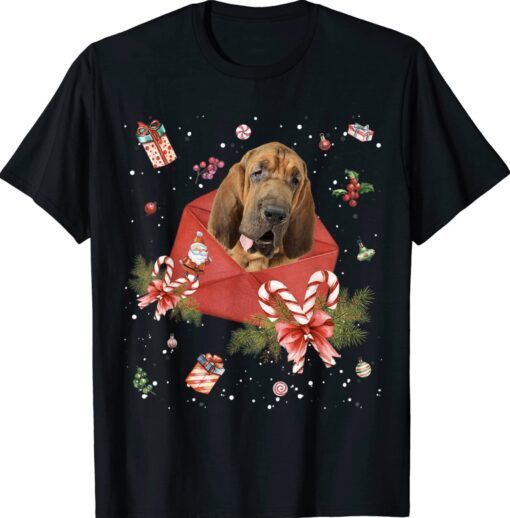 Bloodhound Dog In Christmas Card Ornament Pajama Xmas Shirt