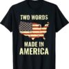 Two Words Made In America Vintage American Flag Joe Biden Shirt