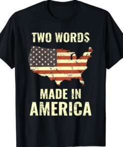 Two Words Made In America Vintage American Flag Joe Biden Shirt