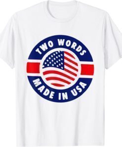 Two Words Made In America Anti-Biden USA Flag T-Shirt