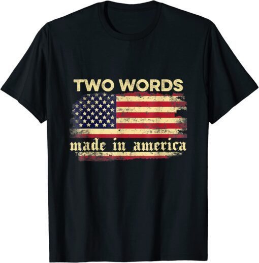 Two Words Made In America Joe Biden Retro Vintage Flag T-Shirt