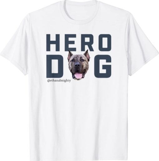 Hero Dog Ethan Almighty Shirt