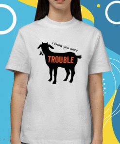 I Knew You Were Trouble Shirt