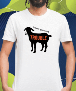 I Knew You Were Trouble Shirt