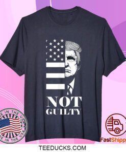 Vintage America Trump Not Guilty T-Shirt