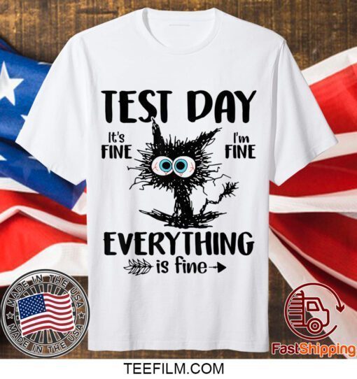 Test Day Funny Stressed Cat Teacher Student Kids Testing Day Gift T-Shirt