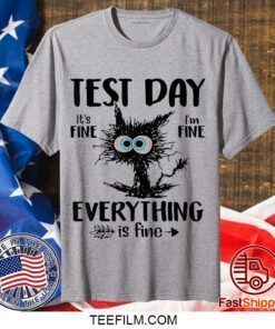 Test Day Funny Stressed Cat Teacher Student Kids Testing Day Gift T-Shirt