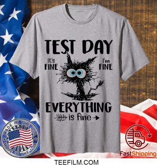 Test Day Funny Stressed Cat Teacher Student Kids Testing Day Gift T-Shirt