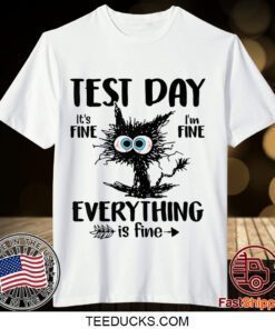 Test Day Funny Stressed Cat Teacher Student Kids Testing Day Gift T-Shirt