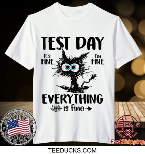 Test Day Funny Stressed Cat Teacher Student Kids Testing Day Gift T-Shirt