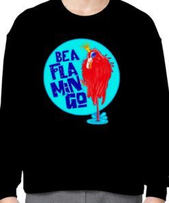 Be a fla min go gift shirt