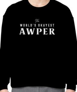 World’s Okayest Awper Gaming Counter Strike 2023 Shirt