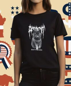 Cat Sixty Seven Patient Tiffany Seven Funny T-Shirt