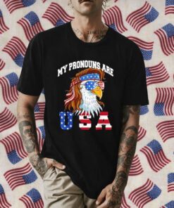 My Pronouns Are USA Eagle Funny 4th of July American Vintage T-Shirt