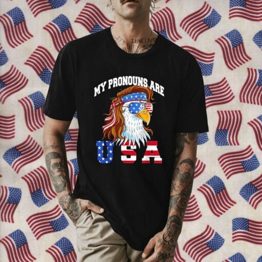 My Pronouns Are USA Eagle Funny 4th of July American Vintage T-Shirt