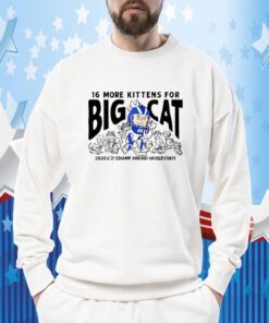 16 Big Kittens For Big Cat Andrei Vasilevskiy TShirt