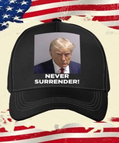 Donald Trump 2024 Never Surrender Hoodie