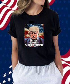 Donald Trump Never Surrender, Donald Trump Mug shot 2024 Shirts