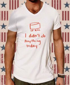 Sp Am I Didn't Do Anything Today T-Shirt