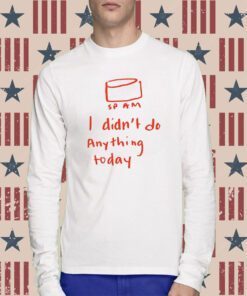Sp Am I Didn't Do Anything Today T-Shirt