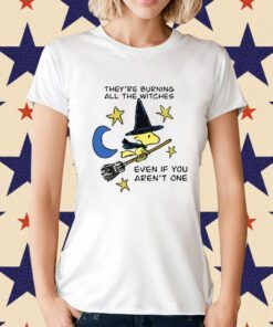 They're Burning All The Witches Even If You Aren't One T-Shirt