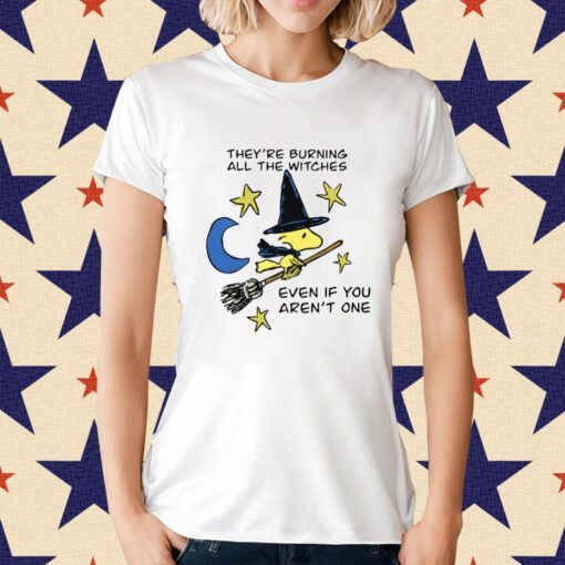 They're Burning All The Witches Even If You Aren't One T-Shirt