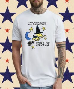 They're Burning All The Witches Even If You Aren't One T-Shirt