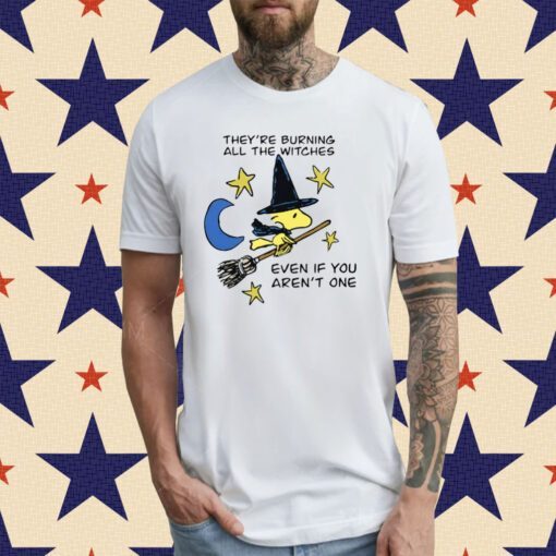 They're Burning All The Witches Even If You Aren't One T-Shirt