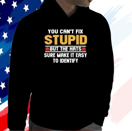 You Can’t Fix Stupid But The Hats Sure Make It Easy To Identify Hoodie