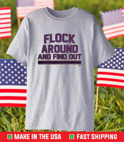 Baltimore Flock Around And Find Out T-Shirt