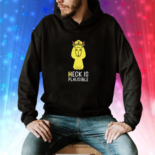 Heck Is Plausible 2023 Hoodie