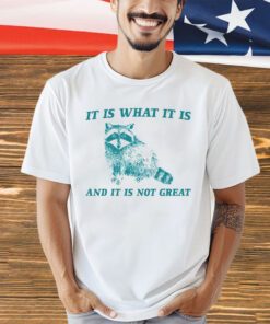 Racoon it is what it is and it is not great shirt