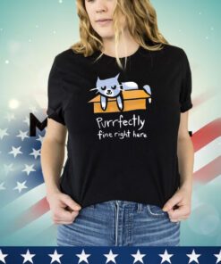 Cat in a box purrfectly fine shirt