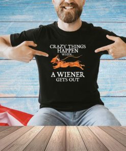 Dachshund crazy things happen when a weiner gets out shirt