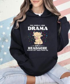 Official you smell like drama and a headache please get away from me shirt