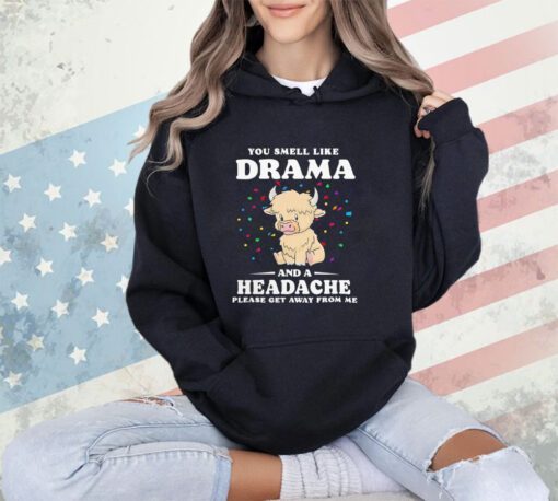 Official you smell like drama and a headache please get away from me shirt