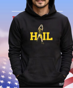 Michigan HAIL Shirt