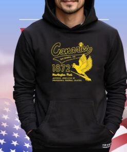 Baltimore Canaries 1872 Newington Park T-shirt