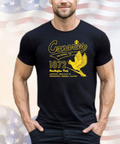 Baltimore Canaries 1872 Newington Park T-shirt