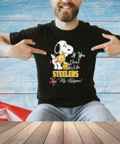 Nfl Pittsburgh Steelers Snoopy dog kiss my endgone shirt