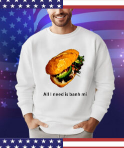 All I Need Is Banh Mi shirt