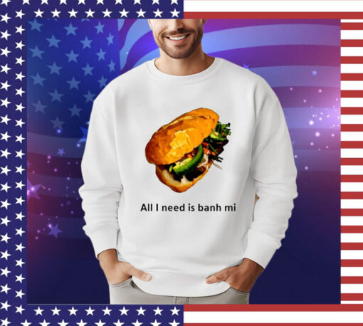 All I Need Is Banh Mi shirt