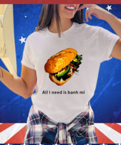 All I Need Is Banh Mi shirt