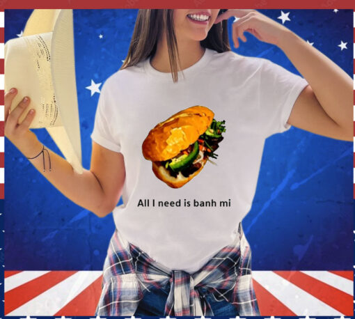 All I Need Is Banh Mi shirt