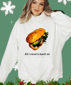 All I Need Is Banh Mi shirt